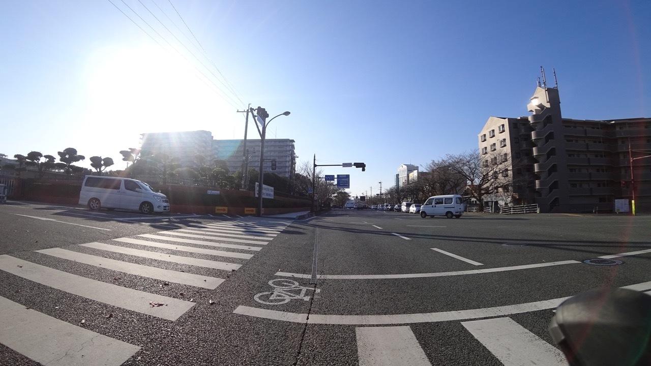 DSC00231.jpg