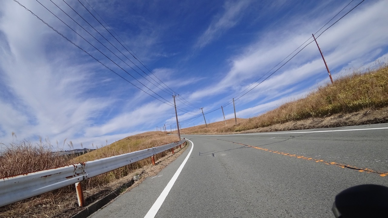 DSC00263.jpg